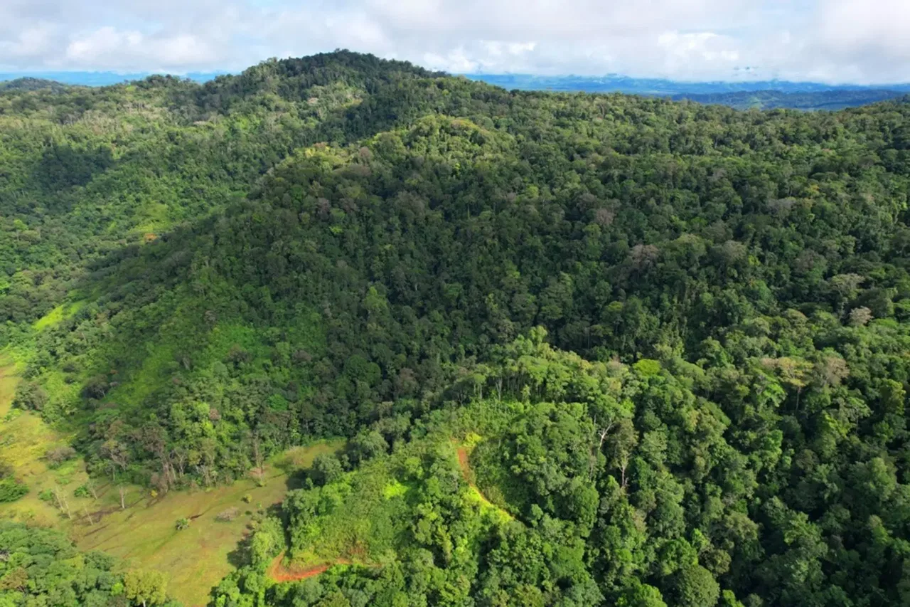 Large Farm With Golfo Dulce View, Golfito, Golfito, Osa, Puntarenas, Costa Rica 60702