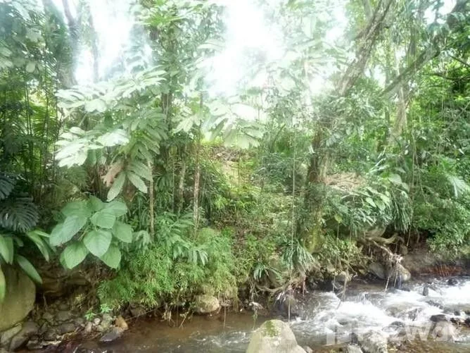 Land for Sale in Escazu, San Jose for $290,000, photo 4