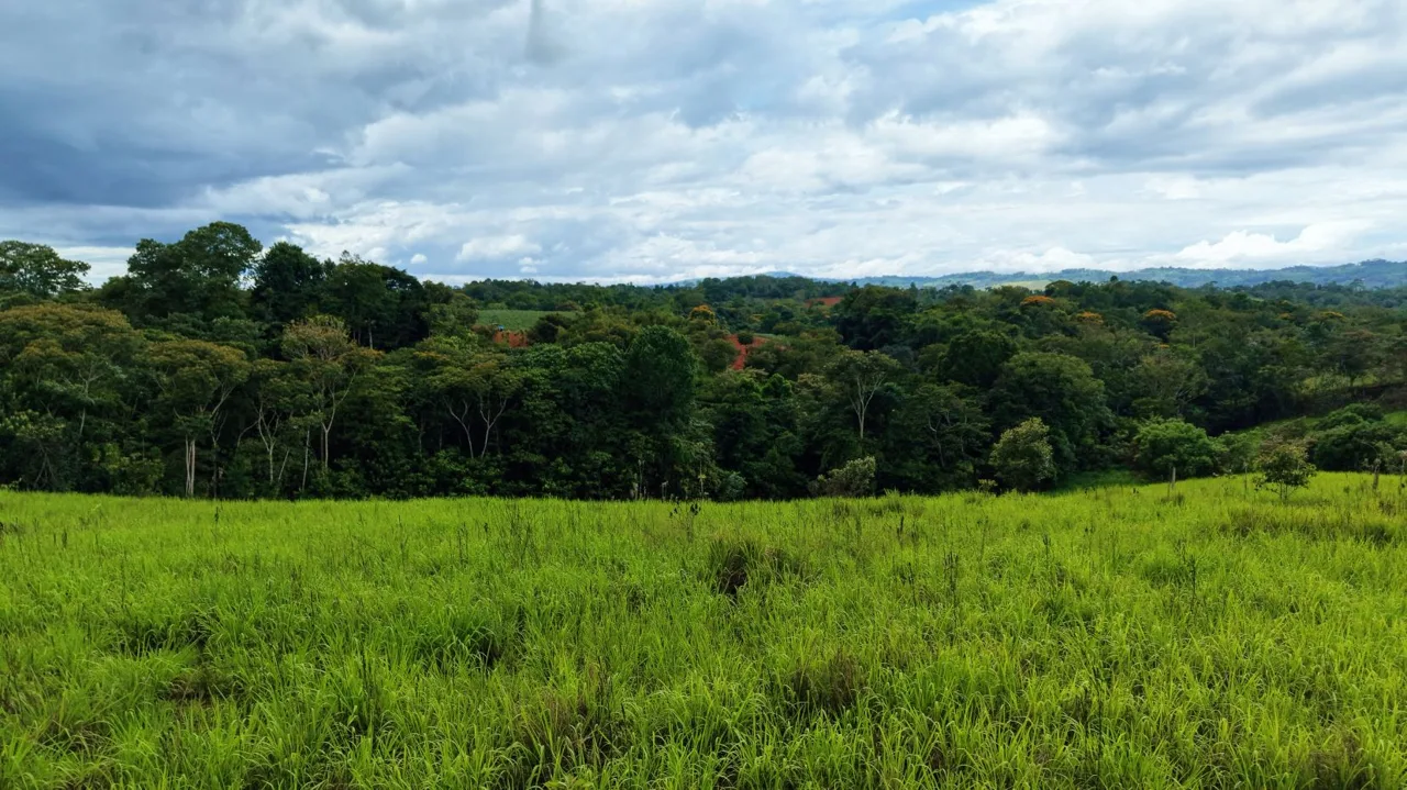 For Sale: 7,000 m² Prime View Lot in Santa Cecilia, San Pedro – The Ultimate Mountain Escape, photo 14