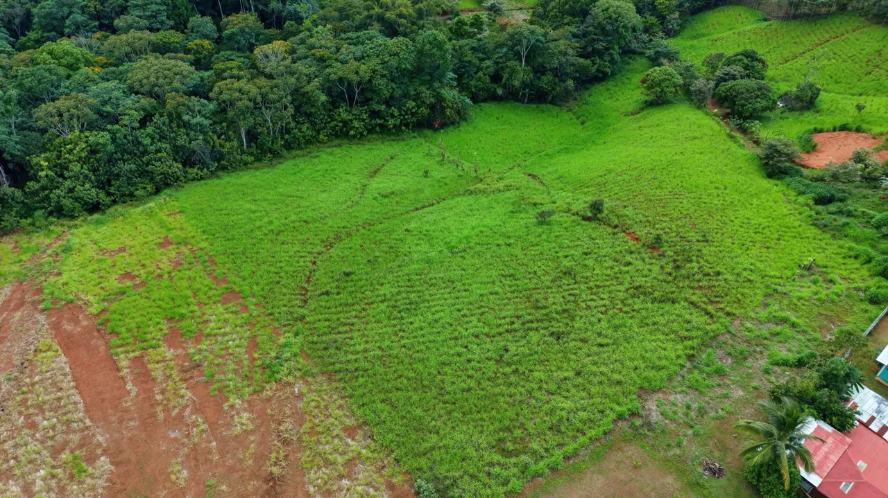 For Sale: 7,000 m² Prime View Lot in Santa Cecilia, San Pedro – The Ultimate Mountain Escape, photo 15