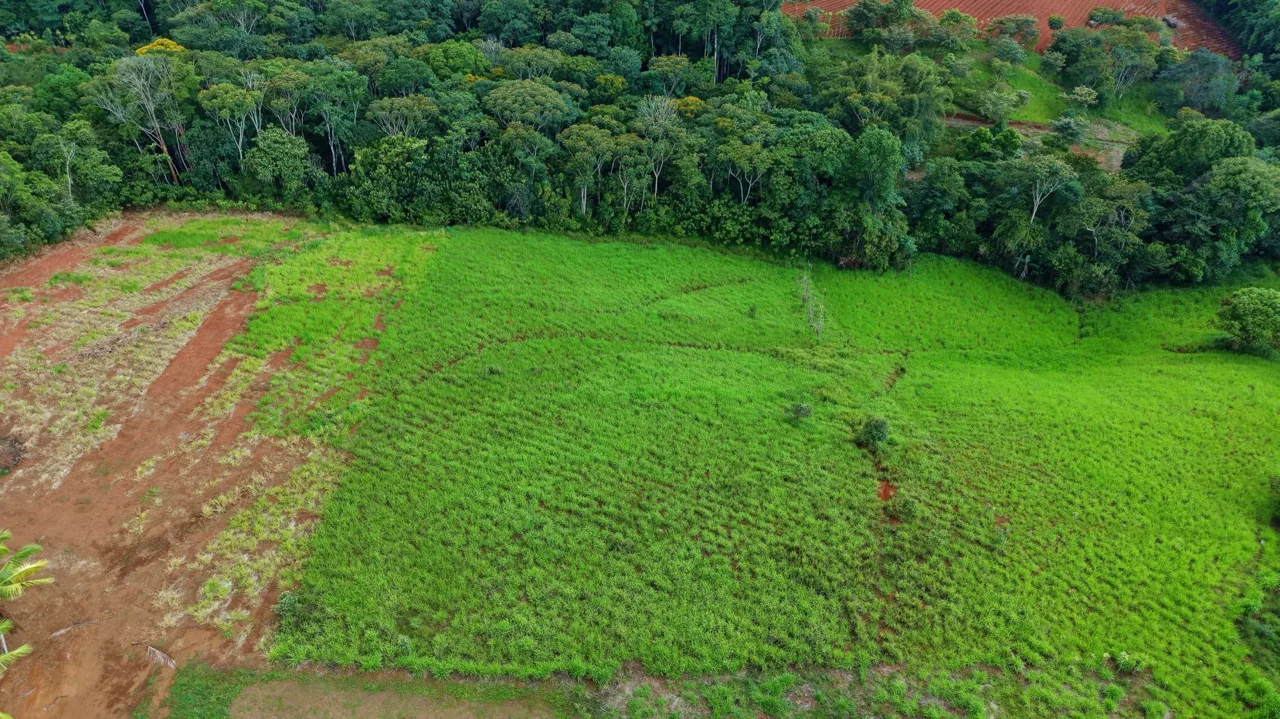 For Sale: 7,000 m² Prime View Lot in Santa Cecilia, San Pedro – The Ultimate Mountain Escape, photo 9