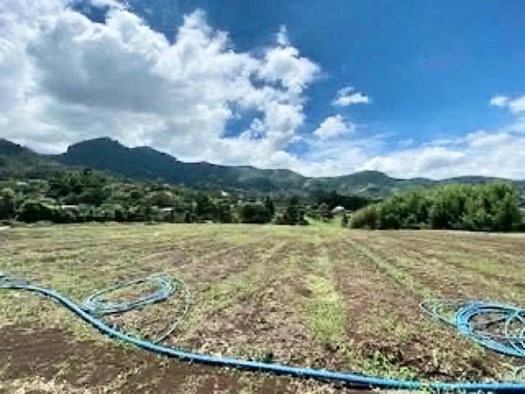 Escaso San Antonio Se Sell land 1076 m ²