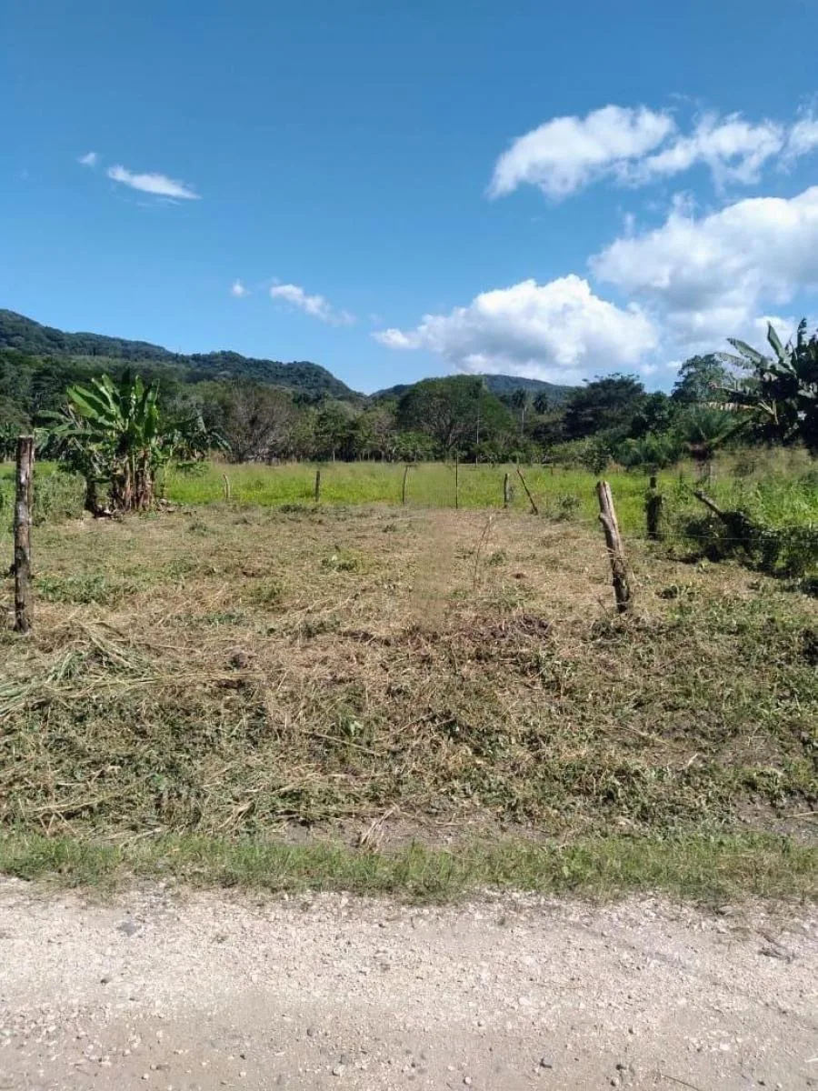 Venta de Lote en Monteran-Curridabat, Granadilla.  - Venta en Curridabat, photo 13