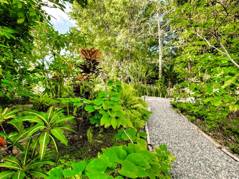 6 Bed Single Family Homes For Sale in Puerto Viejo, photo 5