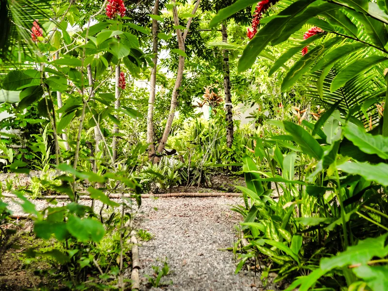6 Bed Single Family Homes For Sale in Puerto Viejo, photo 7