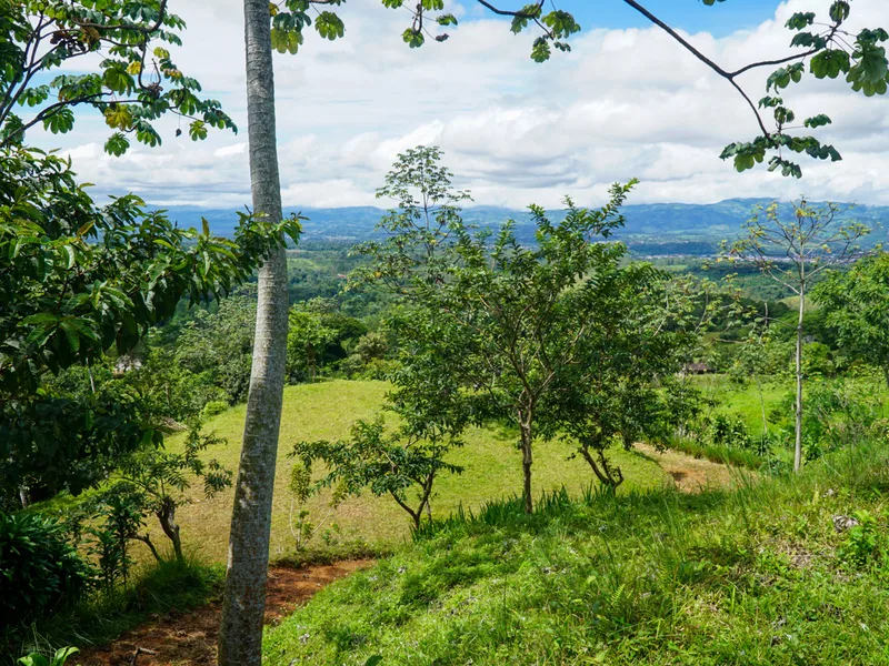 Land For Sale in Perez Zeledon, photo 13