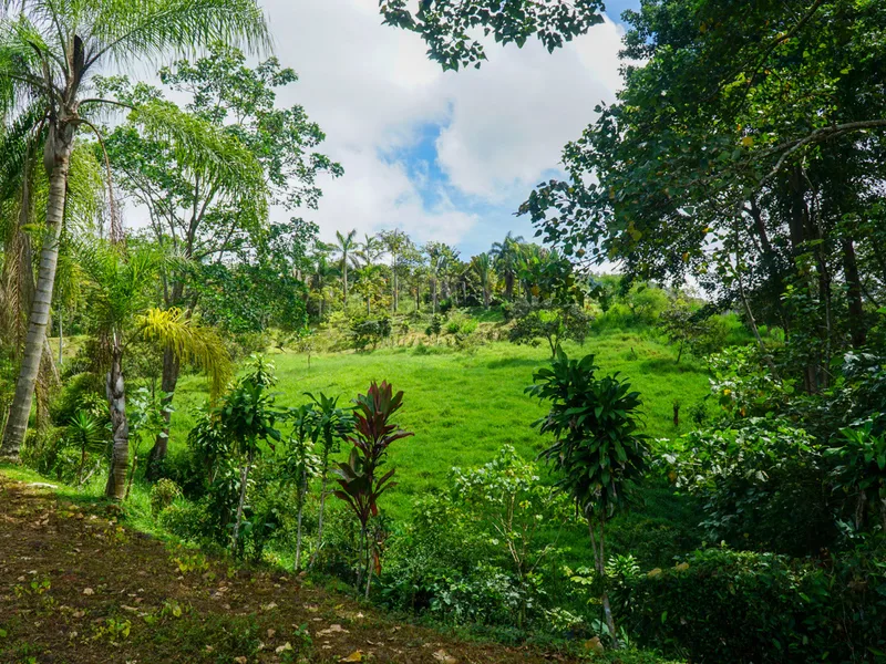 Land For Sale in Perez Zeledon, photo 14