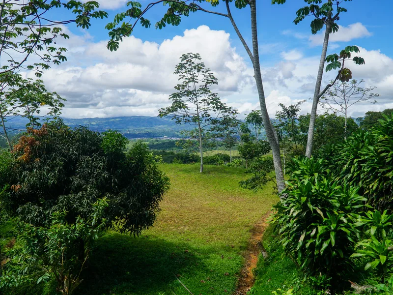 Land For Sale in Perez Zeledon, photo 15