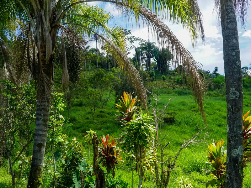 Land For Sale in Perez Zeledon, photo 6