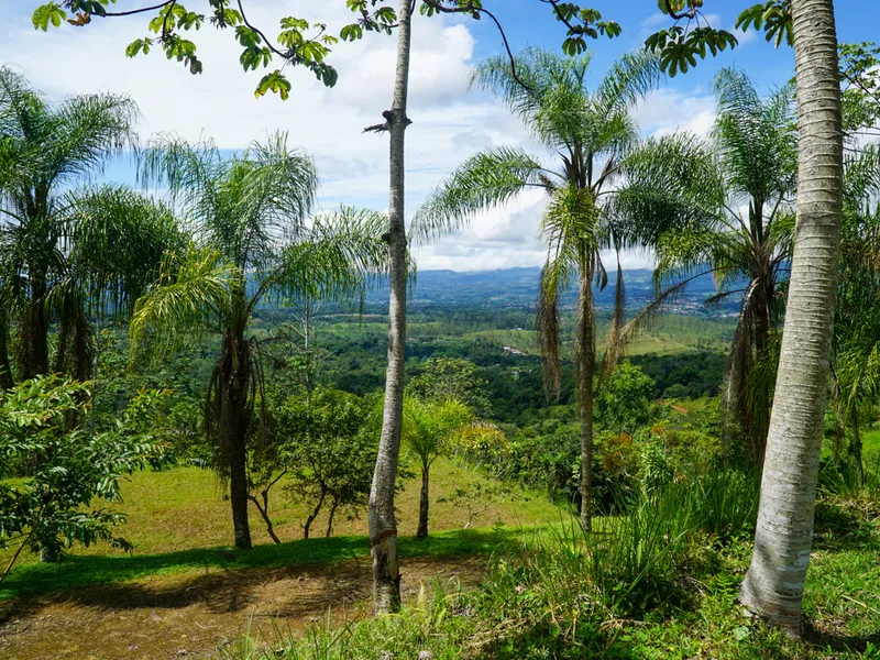 Land For Sale in Perez Zeledon, photo 8