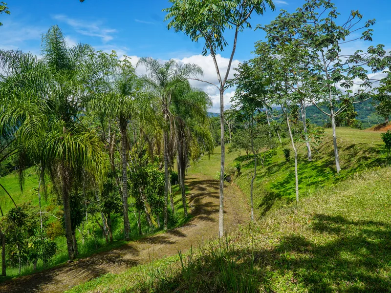 Land For Sale in Perez Zeledon, photo 10