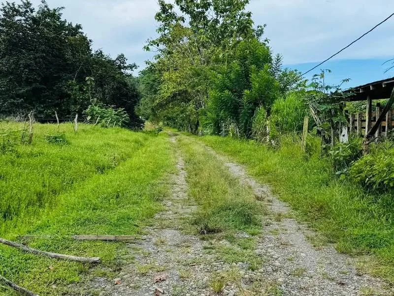 Land For Sale in Junquillal, photo 7