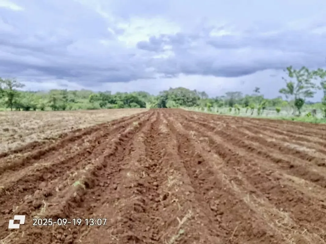 For sale farm San Carlos Katira ideal tourist proyect