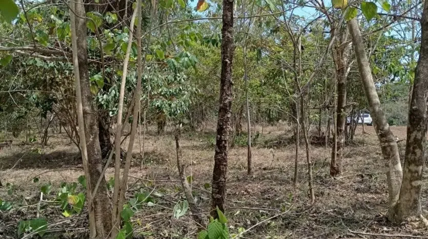 Oportunidad única para desarrollar su proyecto en una de las zonas más codiciadas del Pacífico. Este amplio lote de 6.693 m² se encuentra en Las Delicias de Cóbano, ..., photo 11