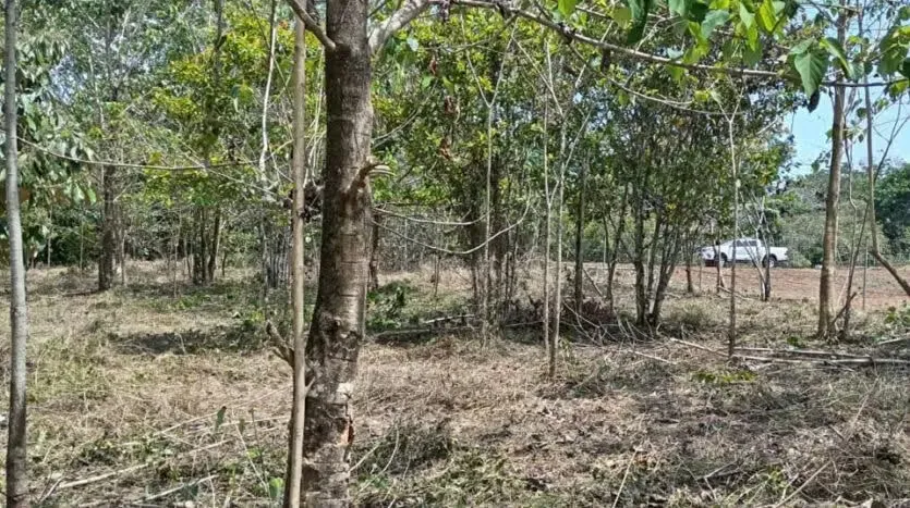 Oportunidad única para desarrollar su proyecto en una de las zonas más codiciadas del Pacífico. Este amplio lote de 6.693 m² se encuentra en Las Delicias de Cóbano, ..., photo 12
