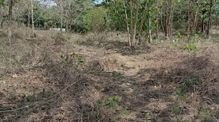 Oportunidad única para desarrollar su proyecto en una de las zonas más codiciadas del Pacífico. Este amplio lote de 6.693 m² se encuentra en Las Delicias de Cóbano, ..., photo 3