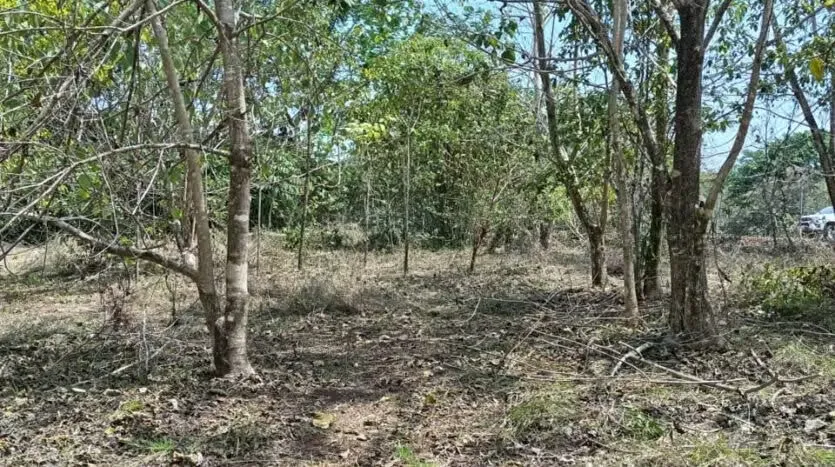 Oportunidad única para desarrollar su proyecto en una de las zonas más codiciadas del Pacífico. Este amplio lote de 6.693 m² se encuentra en Las Delicias de Cóbano, ..., photo 4