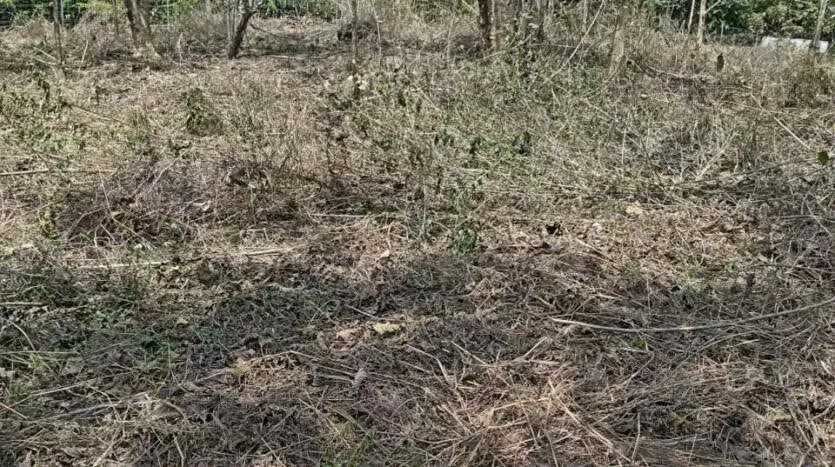 Oportunidad única para desarrollar su proyecto en una de las zonas más codiciadas del Pacífico. Este amplio lote de 6.693 m² se encuentra en Las Delicias de Cóbano, ..., photo 7