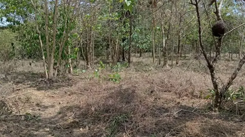 Oportunidad única para desarrollar su proyecto en una de las zonas más codiciadas del Pacífico. Este amplio lote de 6.693 m² se encuentra en Las Delicias de Cóbano, ..., photo 9