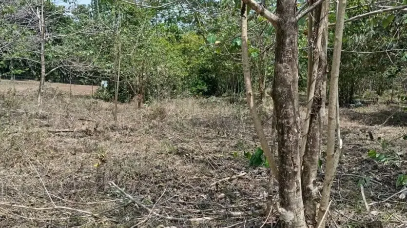 Oportunidad única para desarrollar su proyecto en una de las zonas más codiciadas del Pacífico. Este amplio lote de 6.693 m² se encuentra en Las Delicias de Cóbano, ..., photo 10