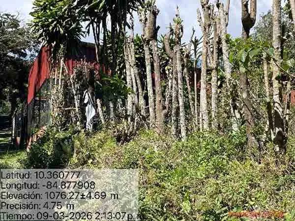 Lote en Cabeceras, Tilarán (bien adjudicado)