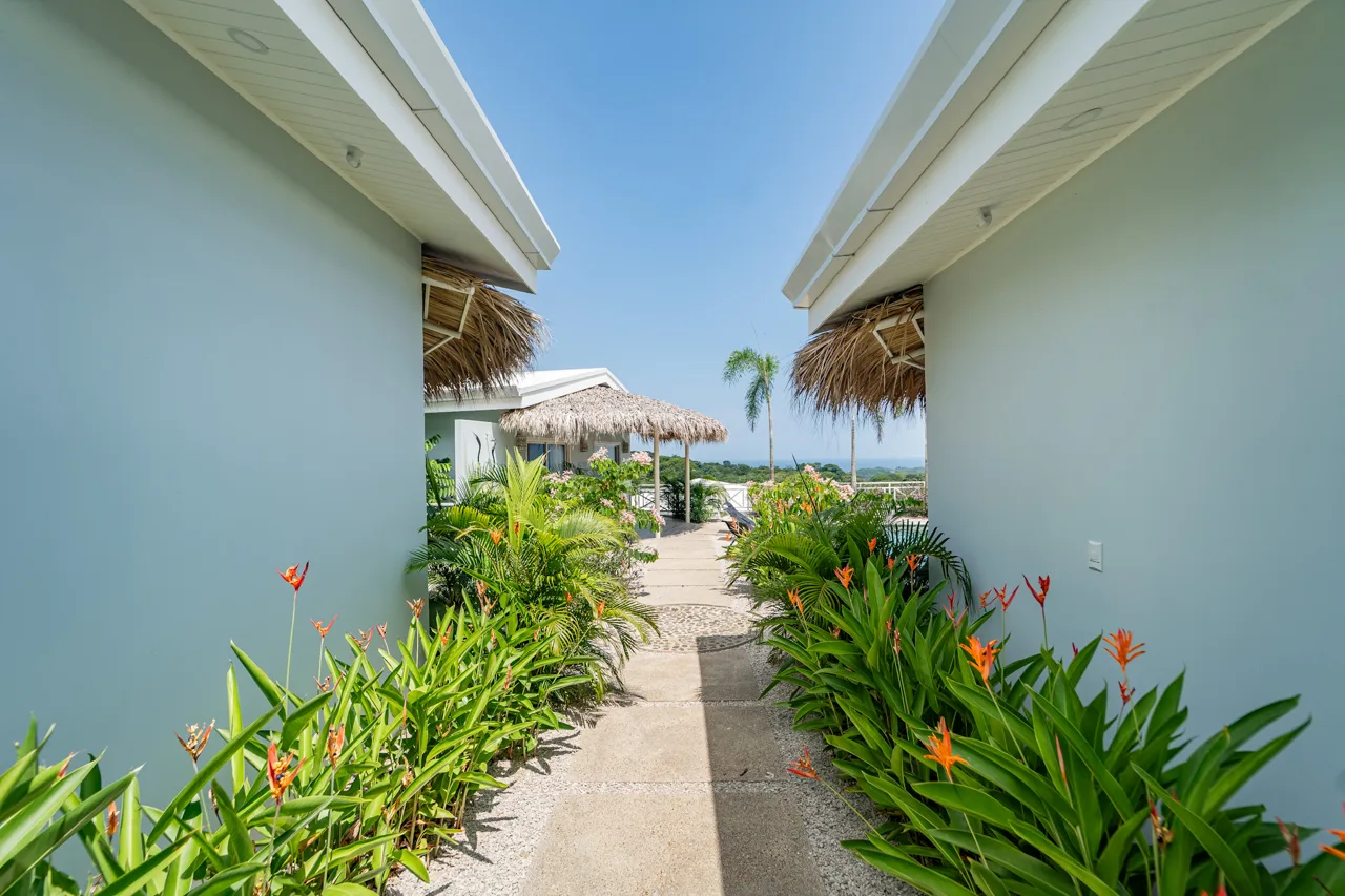 Sámara Suites - Ocean View Home plus Rentals, photo 6
