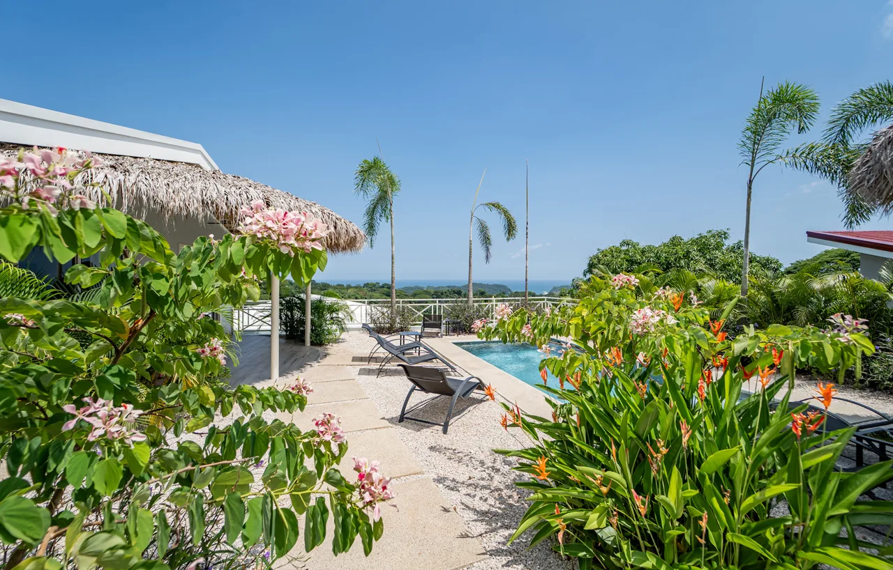Sámara Suites - Ocean View Home plus Rentals, photo 8
