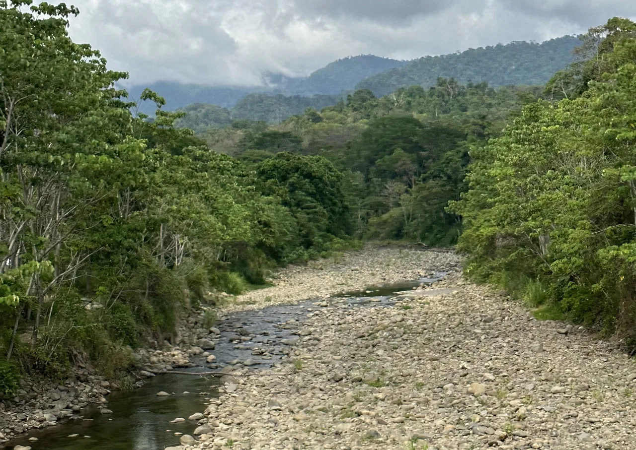 PRIME HIGH-PROFILE COMMERCIAL LAND – CORNER LOT – WITH RIVER FRONTAGE – 1.33 ACRES, photo 11