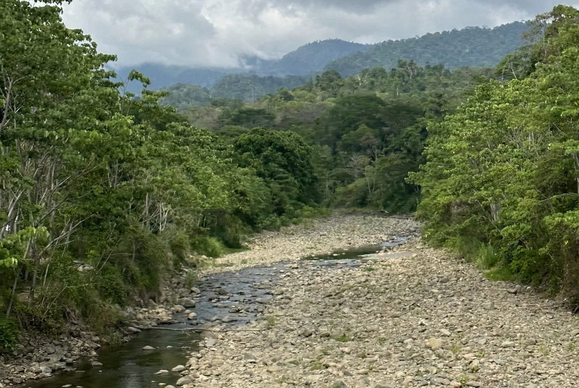 PRIME HIGH-PROFILE COMMERCIAL LAND – CORNER LOT – WITH RIVER FRONTAGE – 1.33 ACRES, photo 12