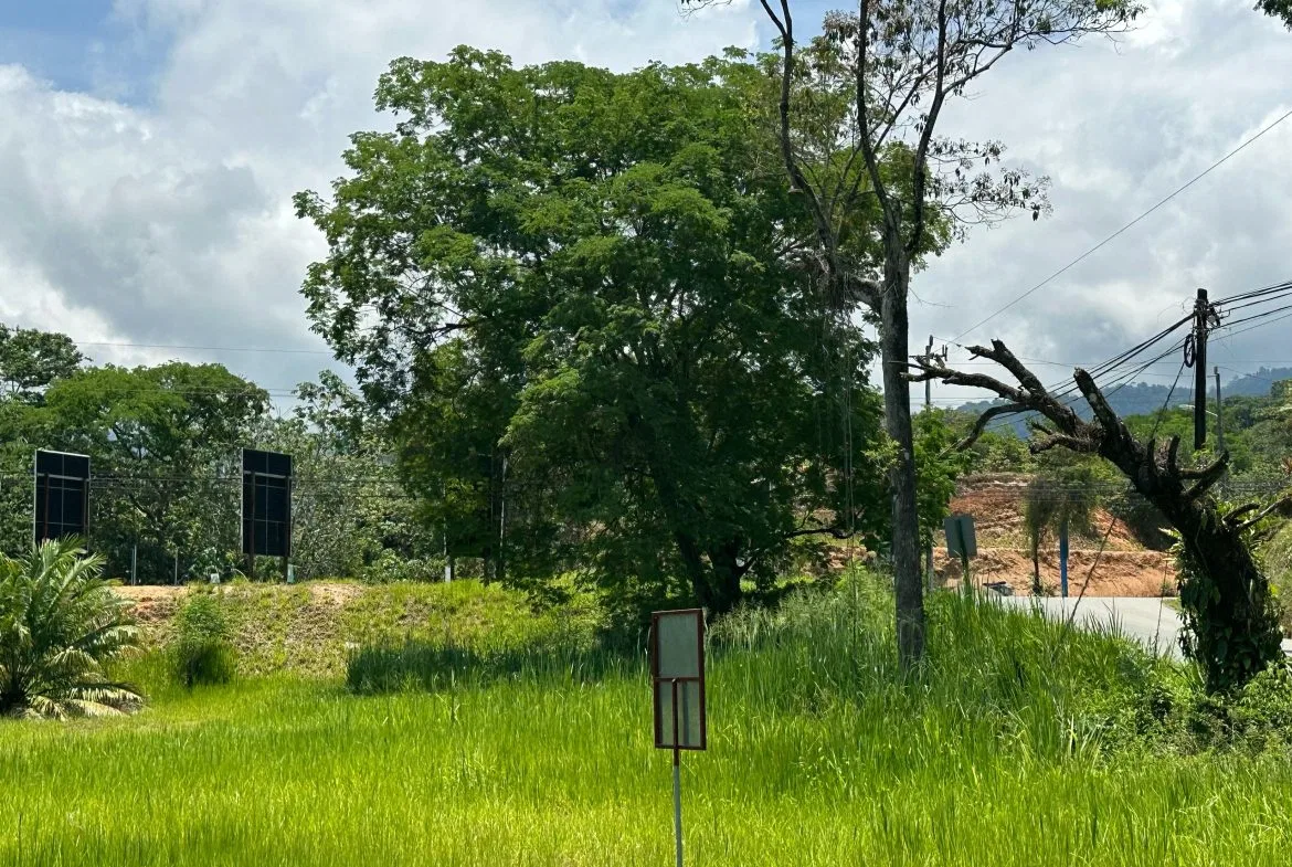 PRIME HIGH-PROFILE COMMERCIAL LAND – CORNER LOT – WITH RIVER FRONTAGE – 1.33 ACRES, photo 4