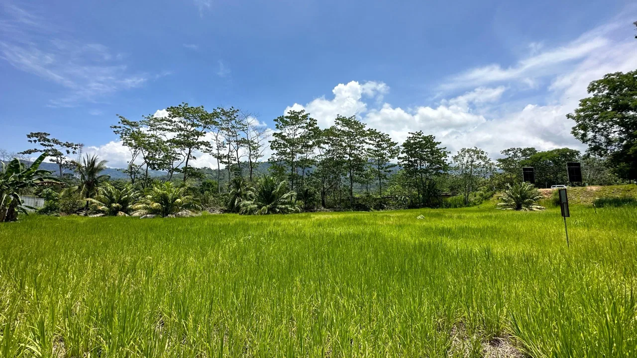 PRIME HIGH-PROFILE COMMERCIAL LAND – CORNER LOT – WITH RIVER FRONTAGE – 1.33 ACRES, photo 5