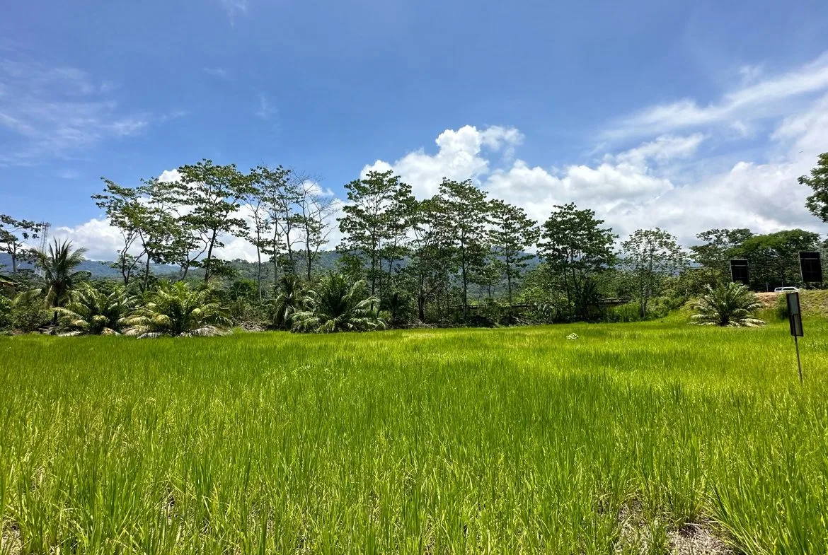 PRIME HIGH-PROFILE COMMERCIAL LAND – CORNER LOT – WITH RIVER FRONTAGE – 1.33 ACRES, photo 6