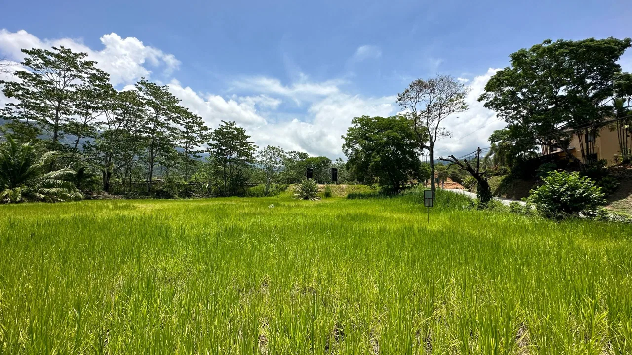 PRIME HIGH-PROFILE COMMERCIAL LAND – CORNER LOT – WITH RIVER FRONTAGE – 1.33 ACRES, photo 7
