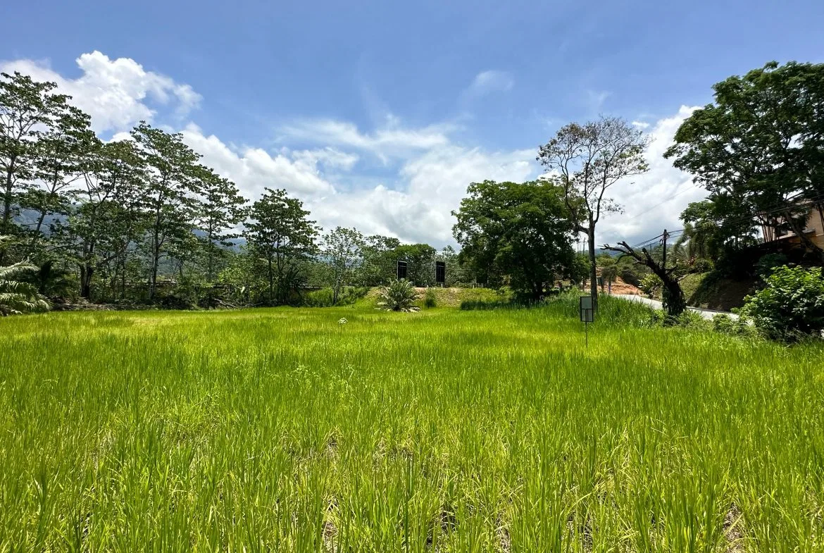 PRIME HIGH-PROFILE COMMERCIAL LAND – CORNER LOT – WITH RIVER FRONTAGE – 1.33 ACRES, photo 8