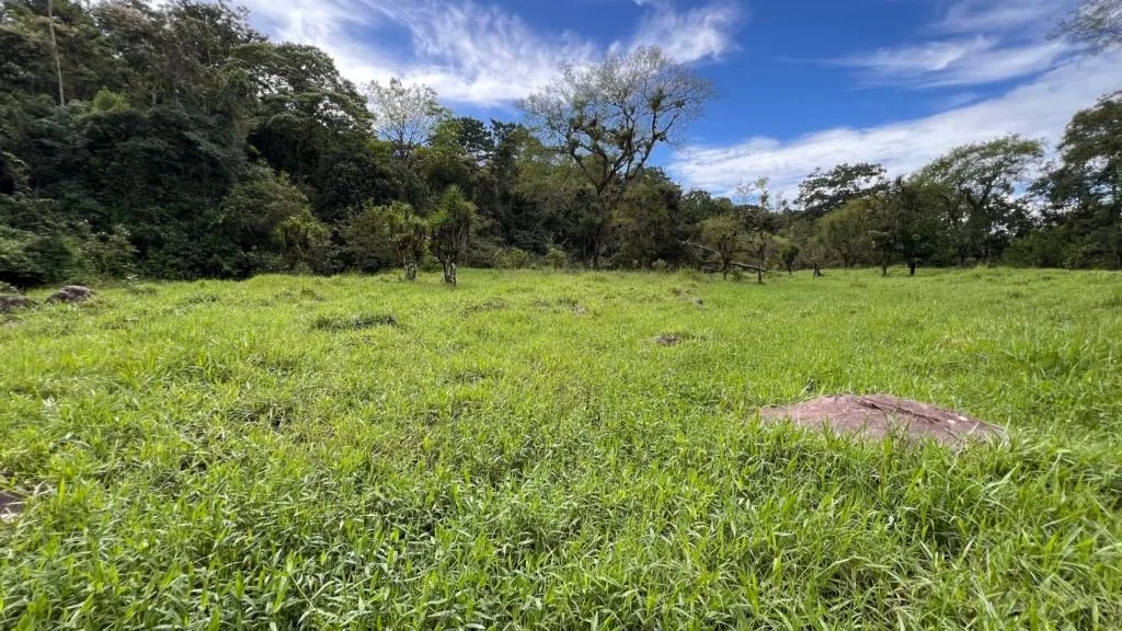 VENTA DE FINCA DE 10.9 HA FRENTE AL RIO EN VALLE DEL CHIRRIPO, SAN FRANCISCO DE RIVAS, PEREZ ZELEDON - Venta en Pérez Zeledón, photo 6