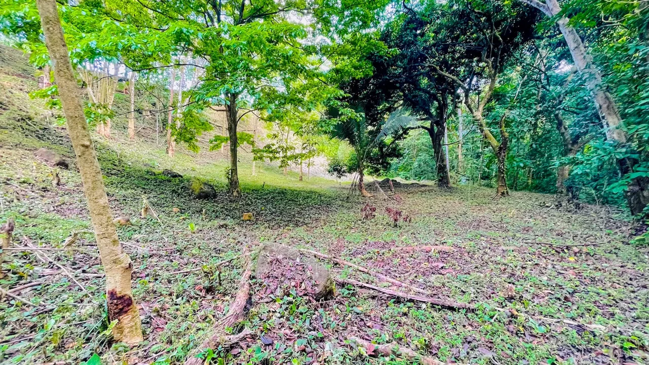 SPACIOUS PROPERTY WITH A RIVER, USABLE LAND, AND MOUNTAIN VIEWS, IN OJOCHAL – 3.11 ACRES, photo 11