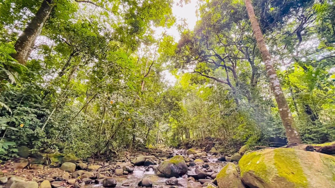 SPACIOUS PROPERTY WITH A RIVER, USABLE LAND, AND MOUNTAIN VIEWS, IN OJOCHAL – 3.11 ACRES, photo 14
