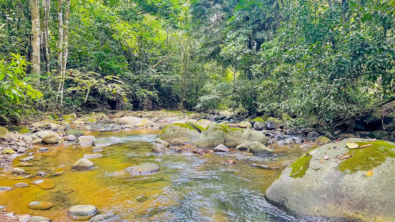 SPACIOUS PROPERTY WITH A RIVER, USABLE LAND, AND MOUNTAIN VIEWS, IN OJOCHAL – 3.11 ACRES, photo 15