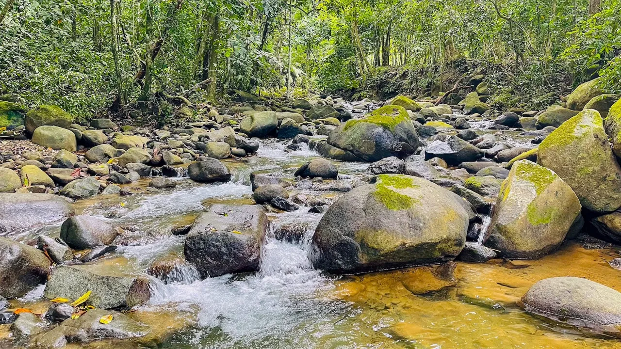 SPACIOUS PROPERTY WITH A RIVER, USABLE LAND, AND MOUNTAIN VIEWS, IN OJOCHAL – 3.11 ACRES, photo 16