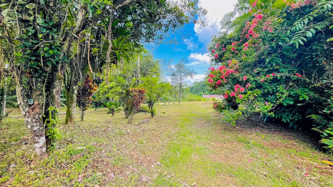 SPACIOUS PROPERTY WITH A RIVER, USABLE LAND, AND MOUNTAIN VIEWS, IN OJOCHAL – 3.11 ACRES, photo 3