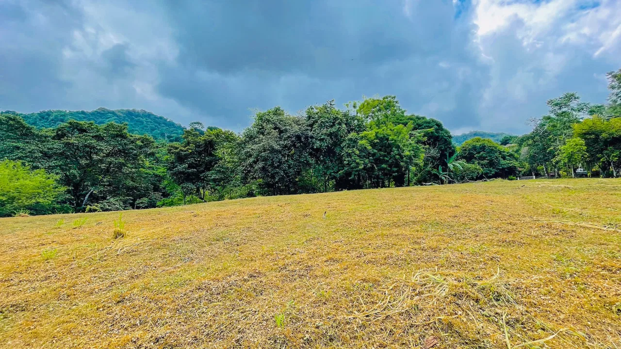 SPACIOUS PROPERTY WITH A RIVER, USABLE LAND, AND MOUNTAIN VIEWS, IN OJOCHAL – 3.11 ACRES, photo 6