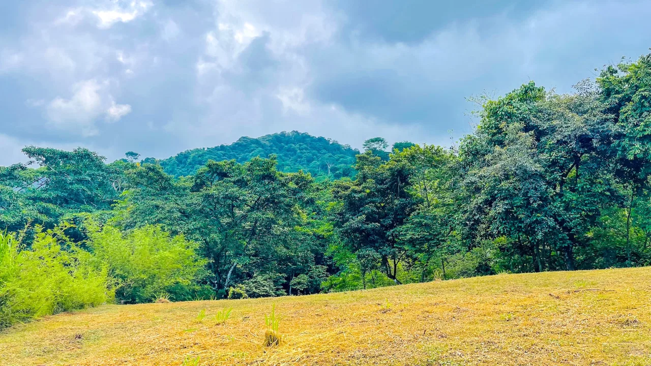 SPACIOUS PROPERTY WITH A RIVER, USABLE LAND, AND MOUNTAIN VIEWS, IN OJOCHAL – 3.11 ACRES, photo 7