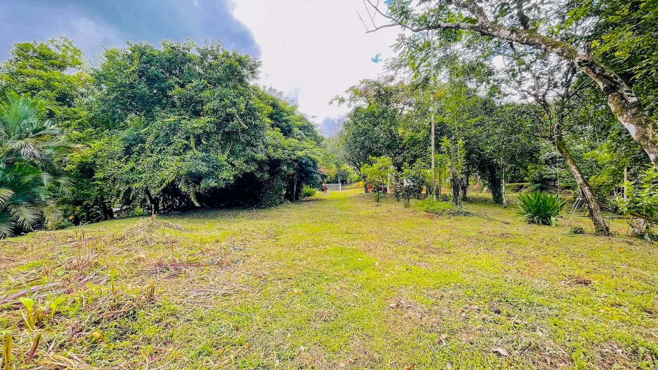 SPACIOUS PROPERTY WITH A RIVER, USABLE LAND, AND MOUNTAIN VIEWS, IN OJOCHAL – 3.11 ACRES, photo 8