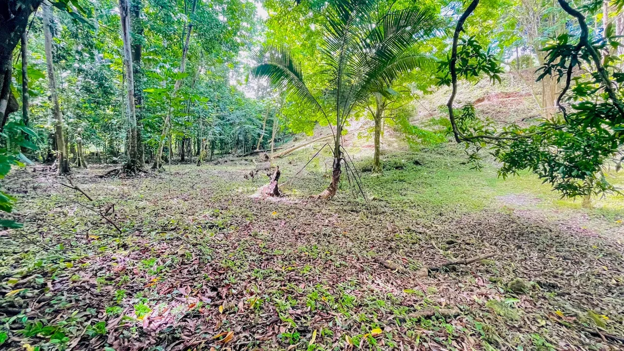 SPACIOUS PROPERTY WITH A RIVER, USABLE LAND, AND MOUNTAIN VIEWS, IN OJOCHAL – 3.11 ACRES, photo 9
