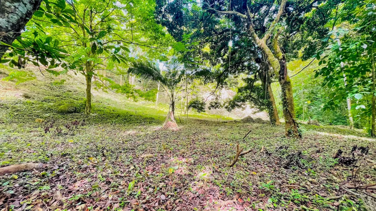 SPACIOUS PROPERTY WITH A RIVER, USABLE LAND, AND MOUNTAIN VIEWS, IN OJOCHAL – 3.11 ACRES, photo 10