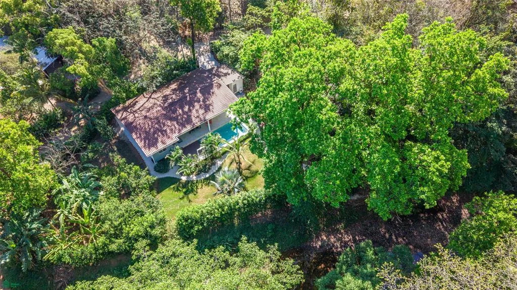 Casa tranquila en la jungla junto al río Buena Vista