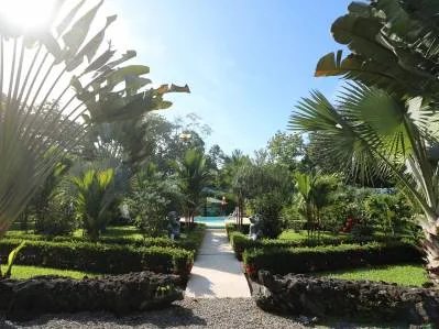 New Caribe Point Hotel / Steps to the beach, photo 4