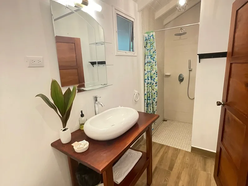 12 Bed Hotel / Leisure For Sale in Samara, photo 5