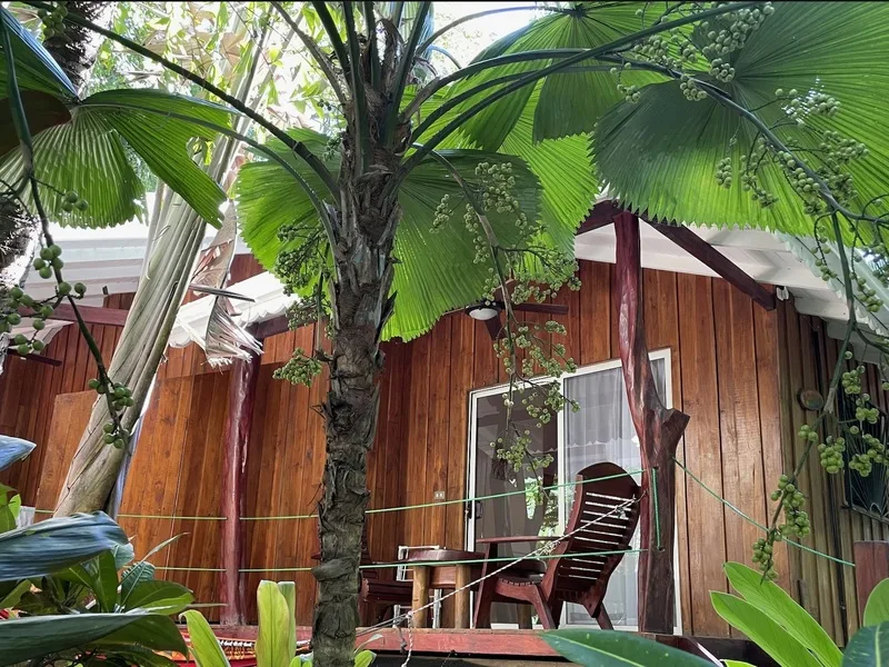 12 Bed Hotel / Leisure For Sale in Samara, photo 8