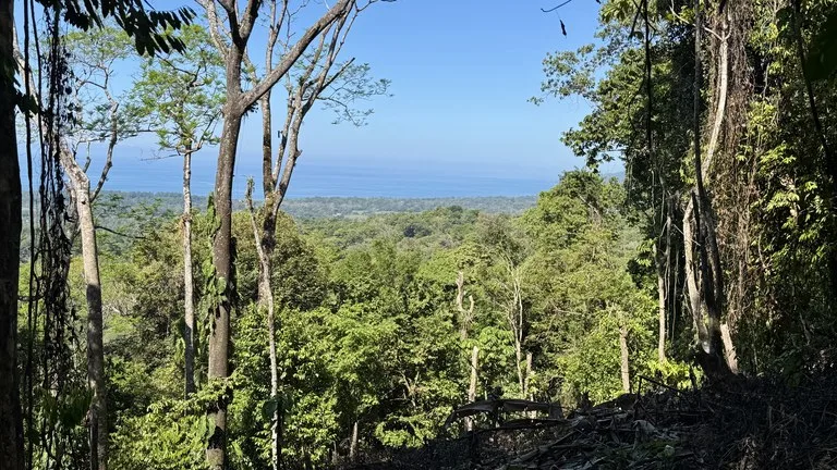 Unique Opportunity, Panoramic Ocean Views of the Whale's Tail Beach!, photo 4
